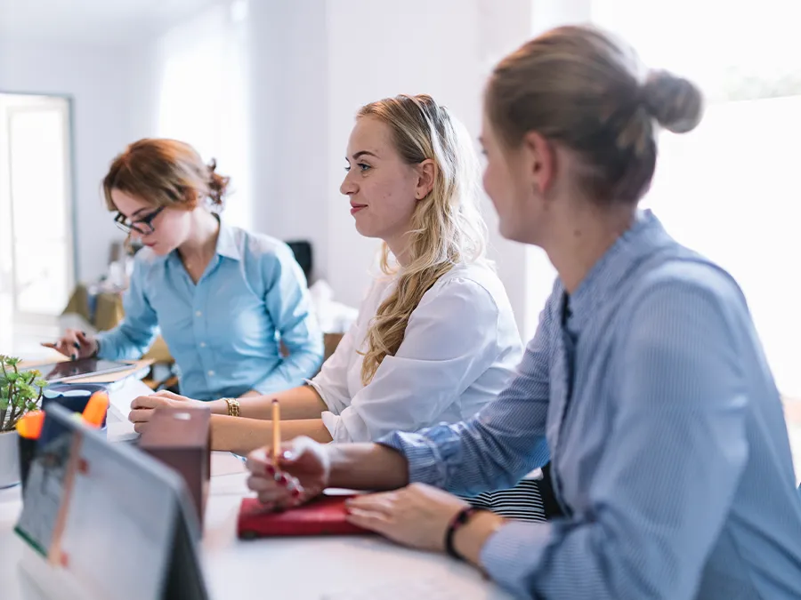Professional Translation Memory Maintenance